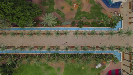 palm's avenue of moshava garden in the heart of the city of rishon lezion, with pools of water on its sides and along its length