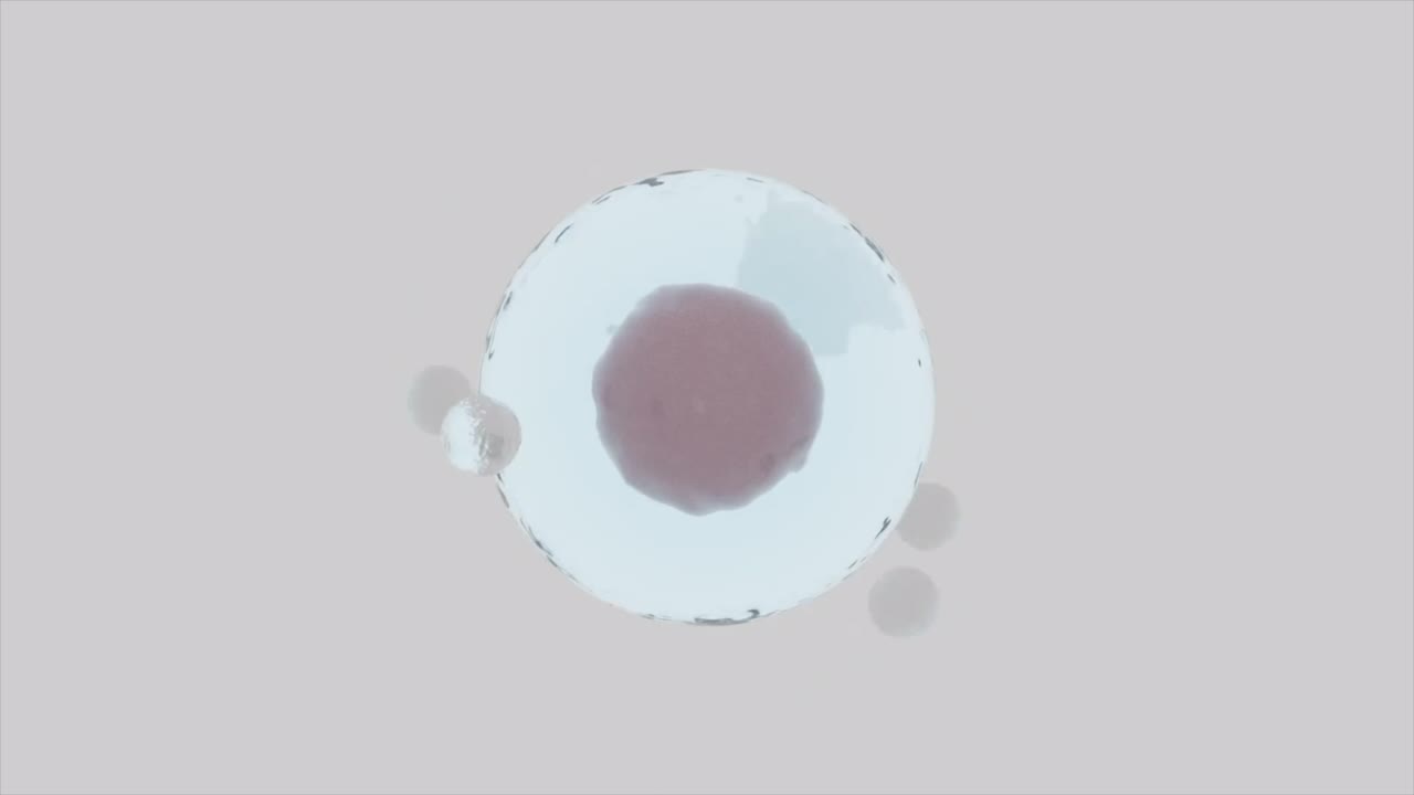 las bolas se mueven al azar alrededor de la esfera. diseño. animación ilustrativa del movimiento de electrones o átomos alrededor de la molécula. molécula con bolas giratorias alrededor en un fondo aislado