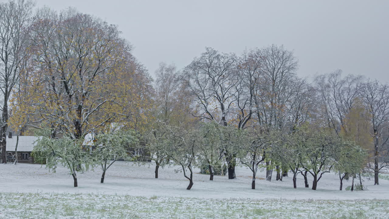 Timelapse of a colorful autumn foliage forest getting it&acute;s first snow cover