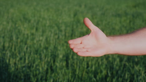 Two-Farmers-Shake-Hands-Against-The-Background-Of-A-Green-Wheat-Field-Deal-In-Agribusiness-Concept-4