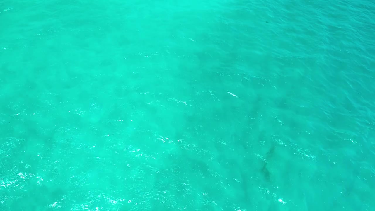 Águas calmas e turquesas com ondulações suaves, criando uma atmosfera serena e pacífica. Ideal para projetos com tema oceânico e conteúdo de relaxamento.