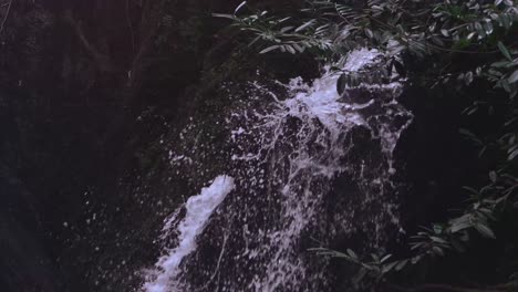agua lenta derramándose de las rocas en los árboles de la cascada en primer plano