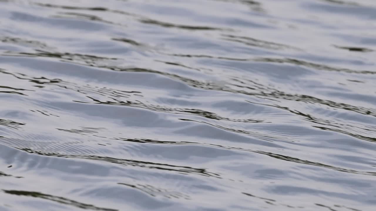 A detailed close-up shot of soft, undulating ripples moving across a peaceful water surface