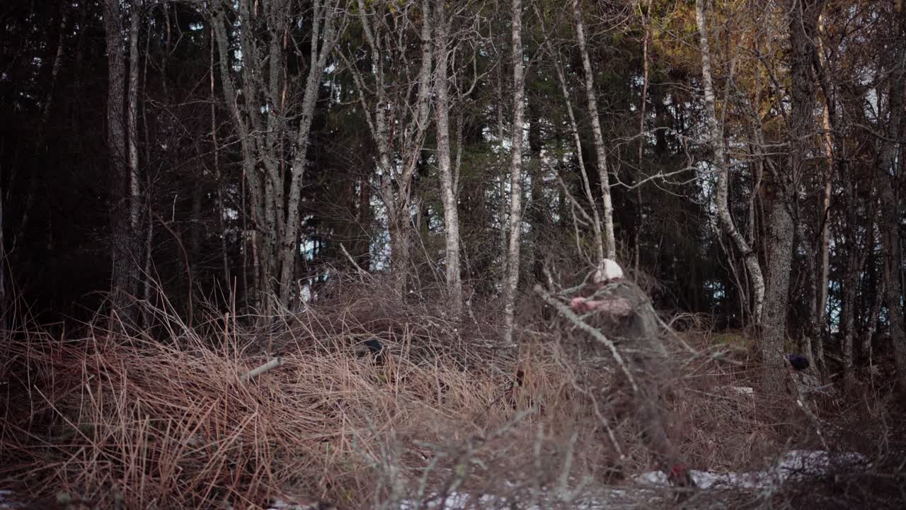 el hombre está amontonando leña al lado del borde del bosque - toma estática