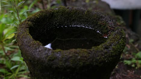 bird-fountain-with-moss-in-a-cabin-in-the-forest