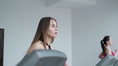 two active girls in sportswear work out on a treadmill in the fitness center beautiful girls doing cardio two active girls in sportswear work out on a treadmill in the fitness center the concept of endurance and motivation