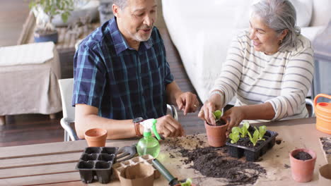 Feliz-Y-Diversa-Pareja-De-Ancianos-Sentada-A-La-Mesa-Y-Plantando-Plantas-En-Macetas-En-El-Porche