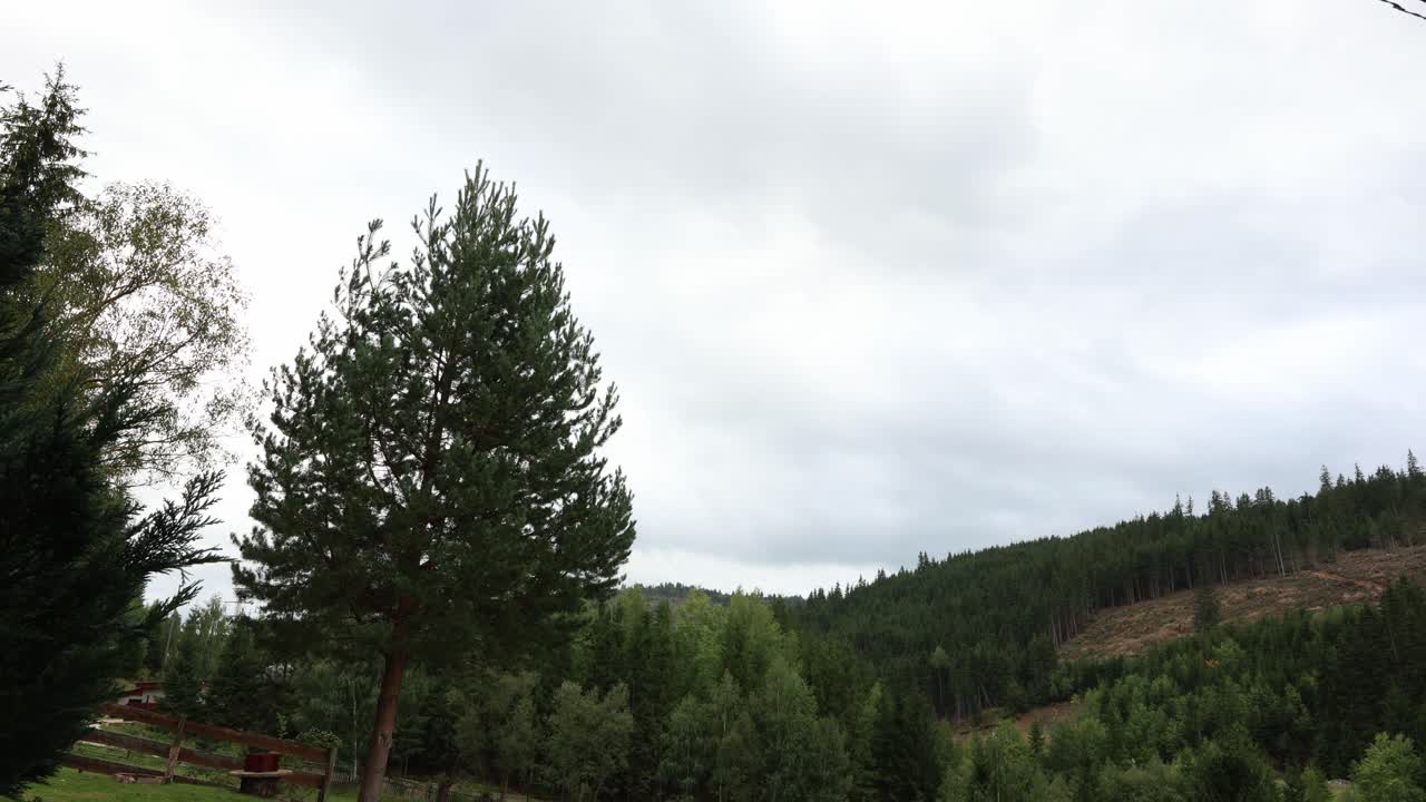 Timelapse Of Clouds In The Sky Over The Trees, Hills And Forest