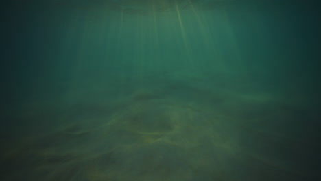 Green-mystic-water-with-rays-shining-through-column-of-ocean,-clean-background