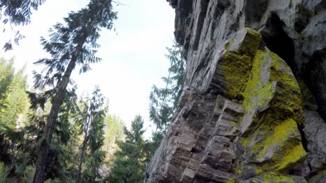 mountaineer rock climbing on the cliff in forest 4k