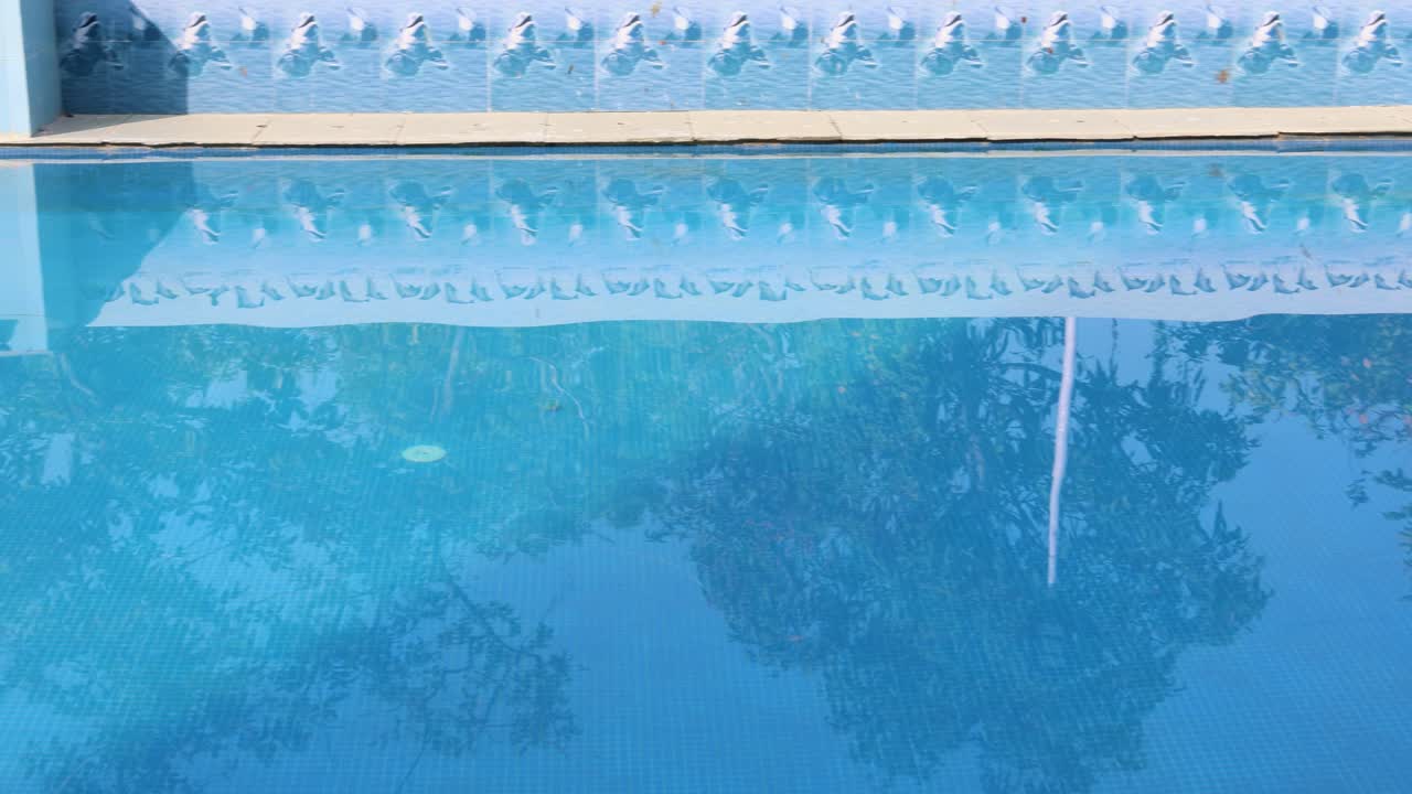 Isoleret swimmingpool med klart vand om morgenen