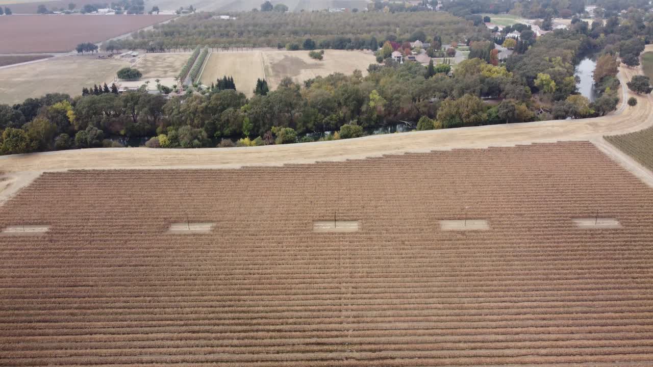Slow rising areal drone footage starting with looking down at wheat field and rising to see fields and trees