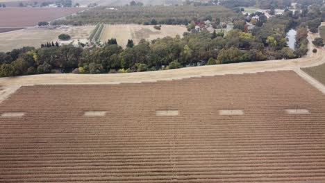 slow rising areal drone footage starting with looking down at wheat field and rising to see fields and trees