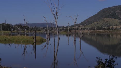 paisaje del lago somerset en queensland, australia - toma amplia