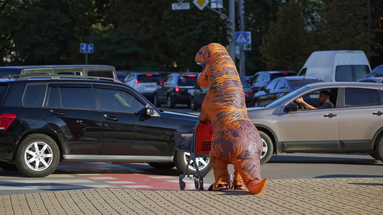 T-Rex dinosaur crossing the busy crossroads on sunny daytime. Man in inflatable costume maneuvering among the cars pushing the shopping cart.