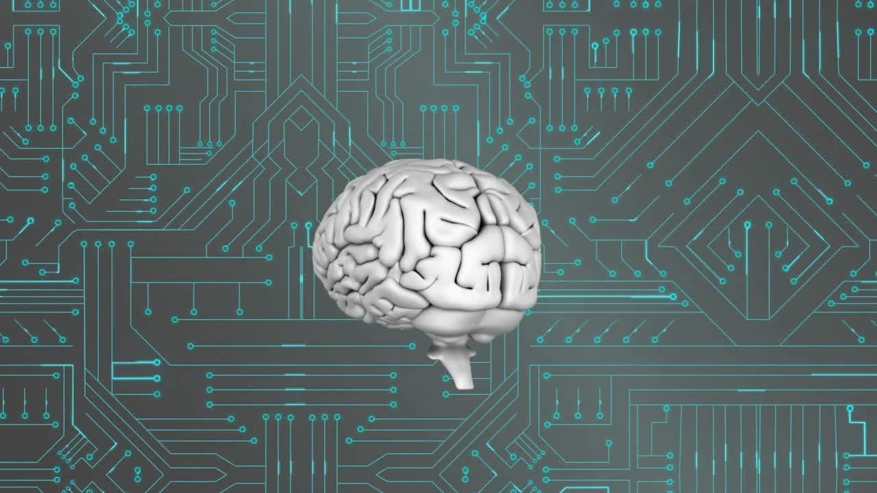 cerebro y circuito digital