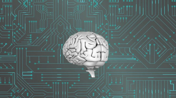 Brain and digital circuit