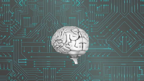 cerebro y circuito digital