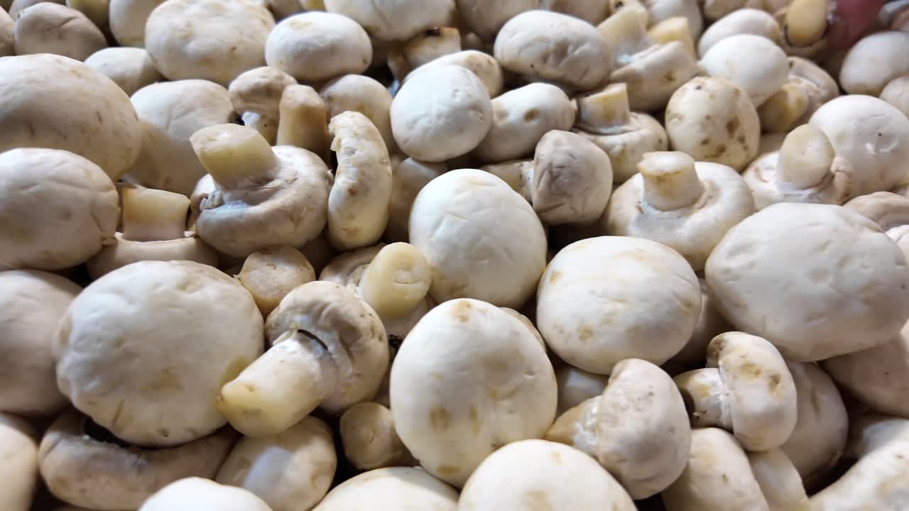 primer plano de setas blancas frescas