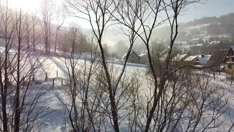 Drohne-Fliegt-Durch-Bäume-In-Einer-Wunderschönen-Wintermorgenlandschaft-In-Einem-Kleinen-Dorf