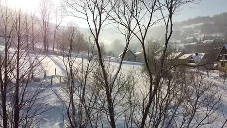 drone volando a través de los árboles en el maravilloso paisaje de la mañana de invierno en un pequeño pueblo