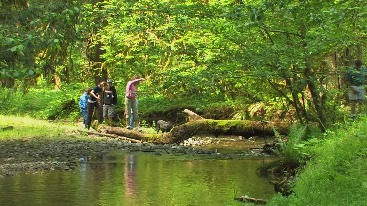 가족과 개는 작은 물을 건너