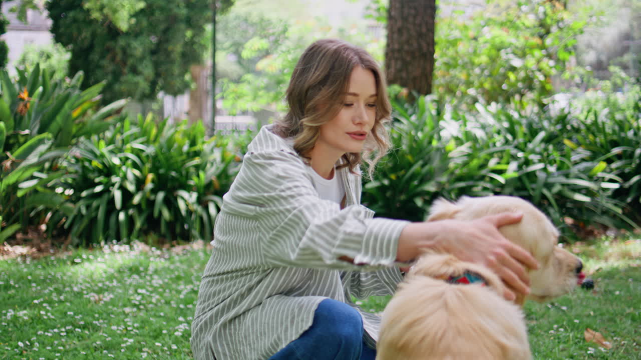 Golden retriever giving paw to smiling woman at nature closeup. Girl training