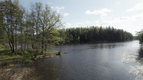 Toma-De-Un-Dron-De-Un-Lago-Idílico-Con-árboles-Verdes-En-Un-Día-Soleado-De-Verano,-Suecia