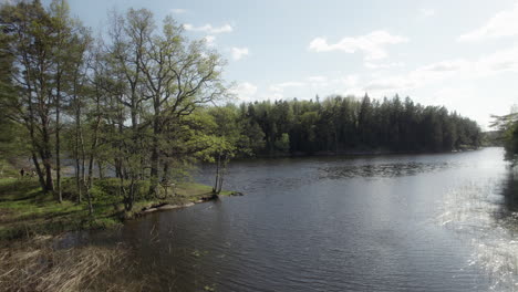 drone shot of idyllic lake with green trees on a sunny summer day, sweden