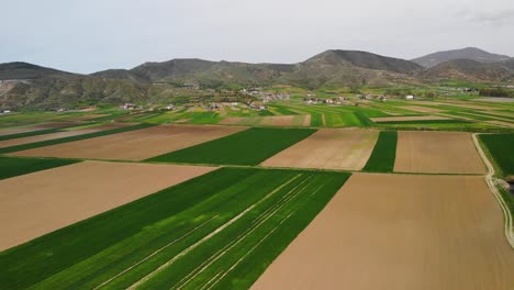 beautiful field with square agricultural parcels in brown and green colors near village