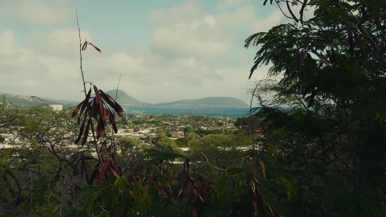 a static shot of Diamond Head through foreground greenery on the island of O'ahu