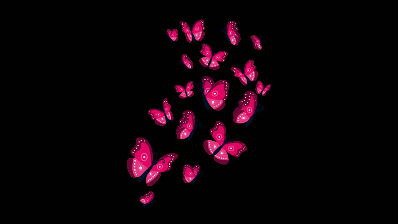 Pink Butterflies on Black Background