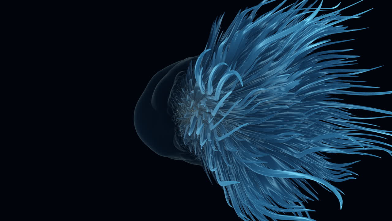 Shimmering blue feather floats in air - stunning 3d rendering