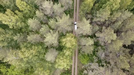 An-aerial-shot-of-a-car-from-top