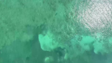 aerial: clear blue key west oceans from a birds eye view