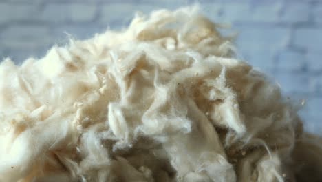 close-up of a pile of raw wool