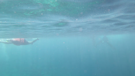 snorkeling in the ocean sea