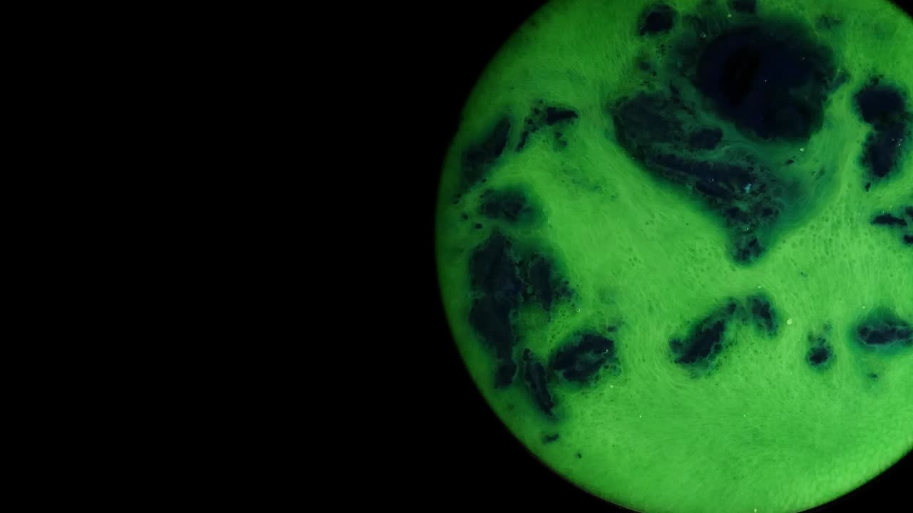 resumen planeta azul y verde con cierre de superficie en movimiento