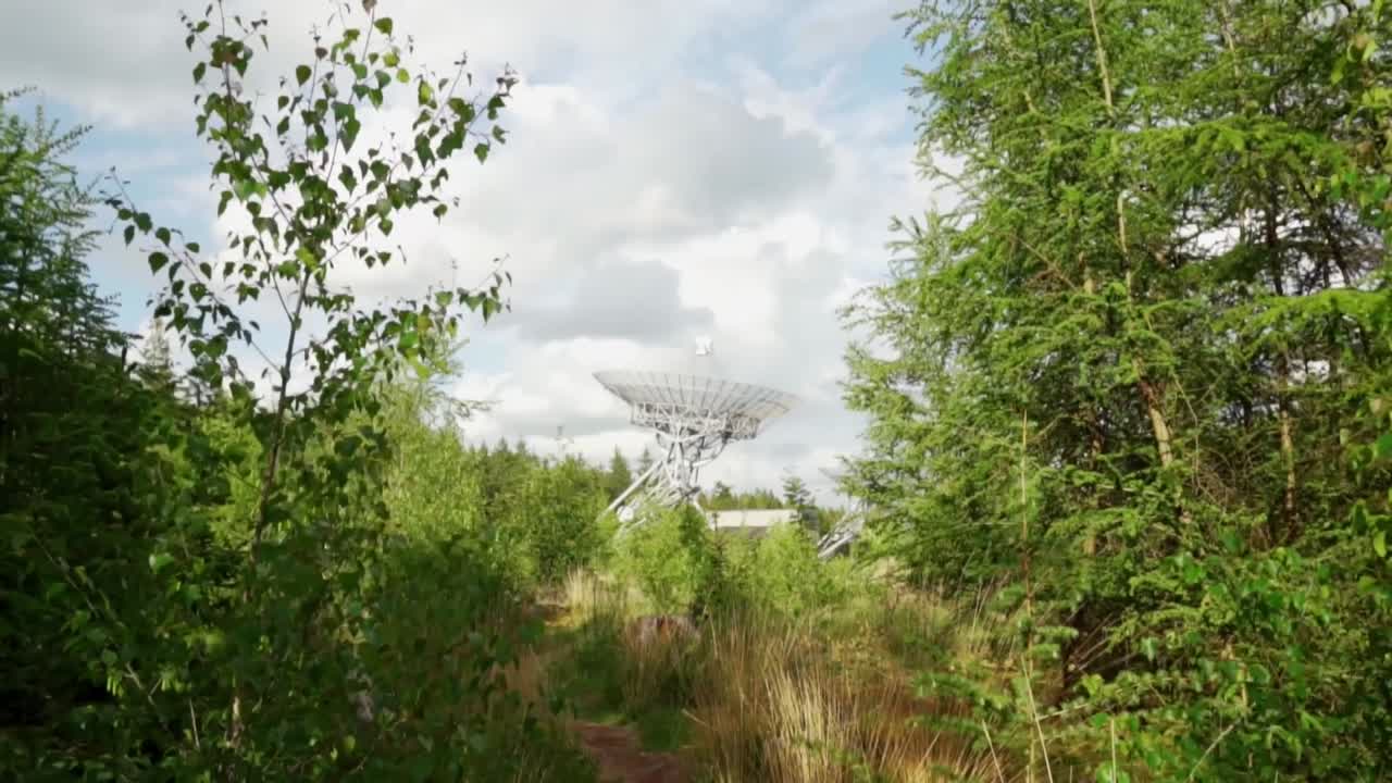 숲 속 의 라디오 망원경