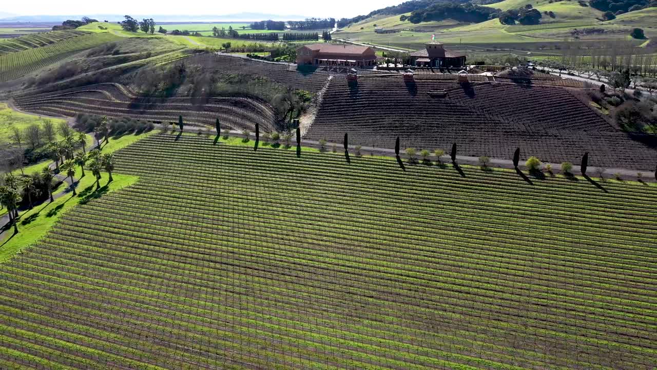 Svelamento aereo inverso di un vigneto e di una sala degustazione vicino a Sonoma, California