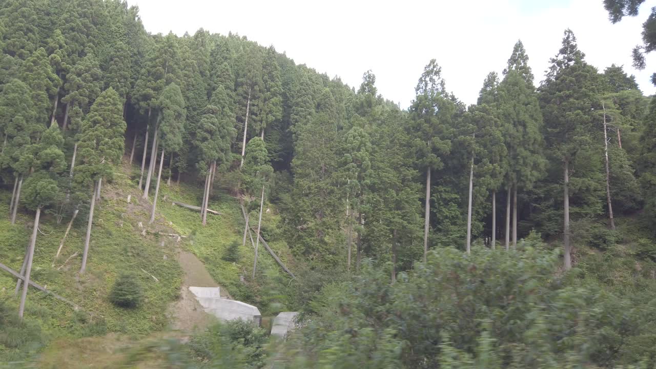 여름에 일본 교토의 녹색 숲과 언덕을 볼 수 있는 창문 좌석