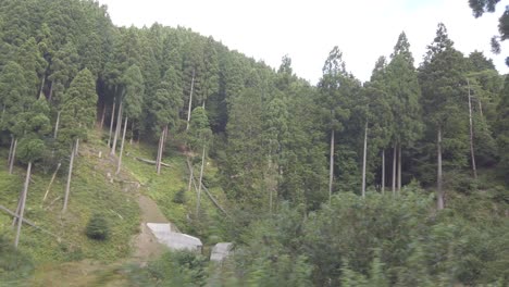 Blick-Vom-Fensterplatz-Auf-Den-Grünen-Zedernwald-Und-Die-Hügel-In-Kyoto,-Japan-Im-Sommer