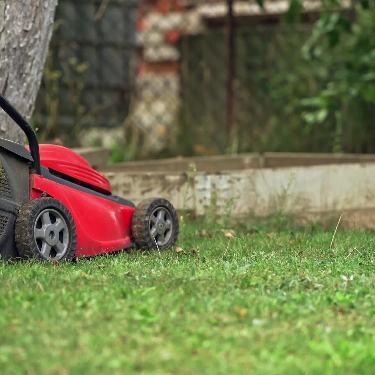 Care for the garden and grass