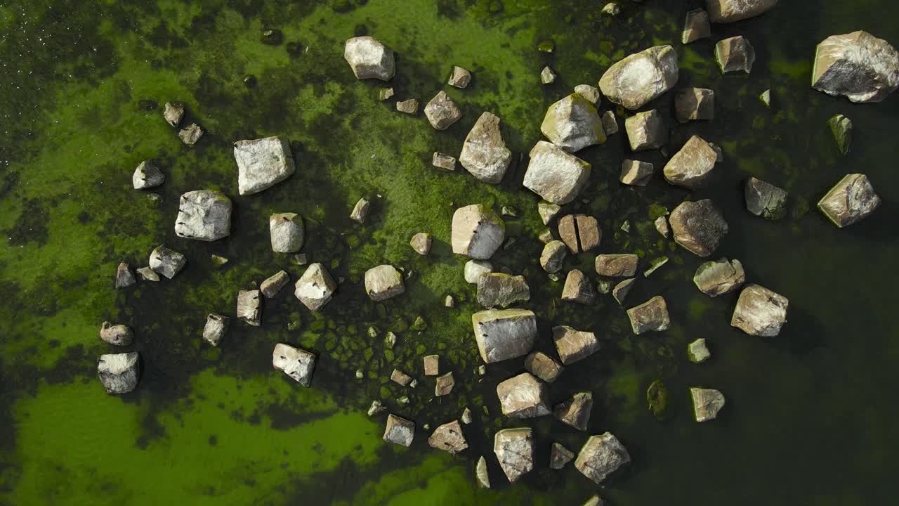 Top down aerial view of cormorants and seagull birds flying and sitting on large rocks in green colored ocean shallow sea water with sandy bottom and seaweed visible. Sunny summer day