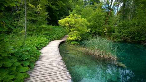 nature walking path in plitvice lakes, croatia.