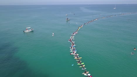 large group of stand-up paddleboarders in a line on the ocean