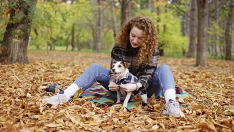 young girl puts the plaid jacket on jack russell terrier puppy in autumn park