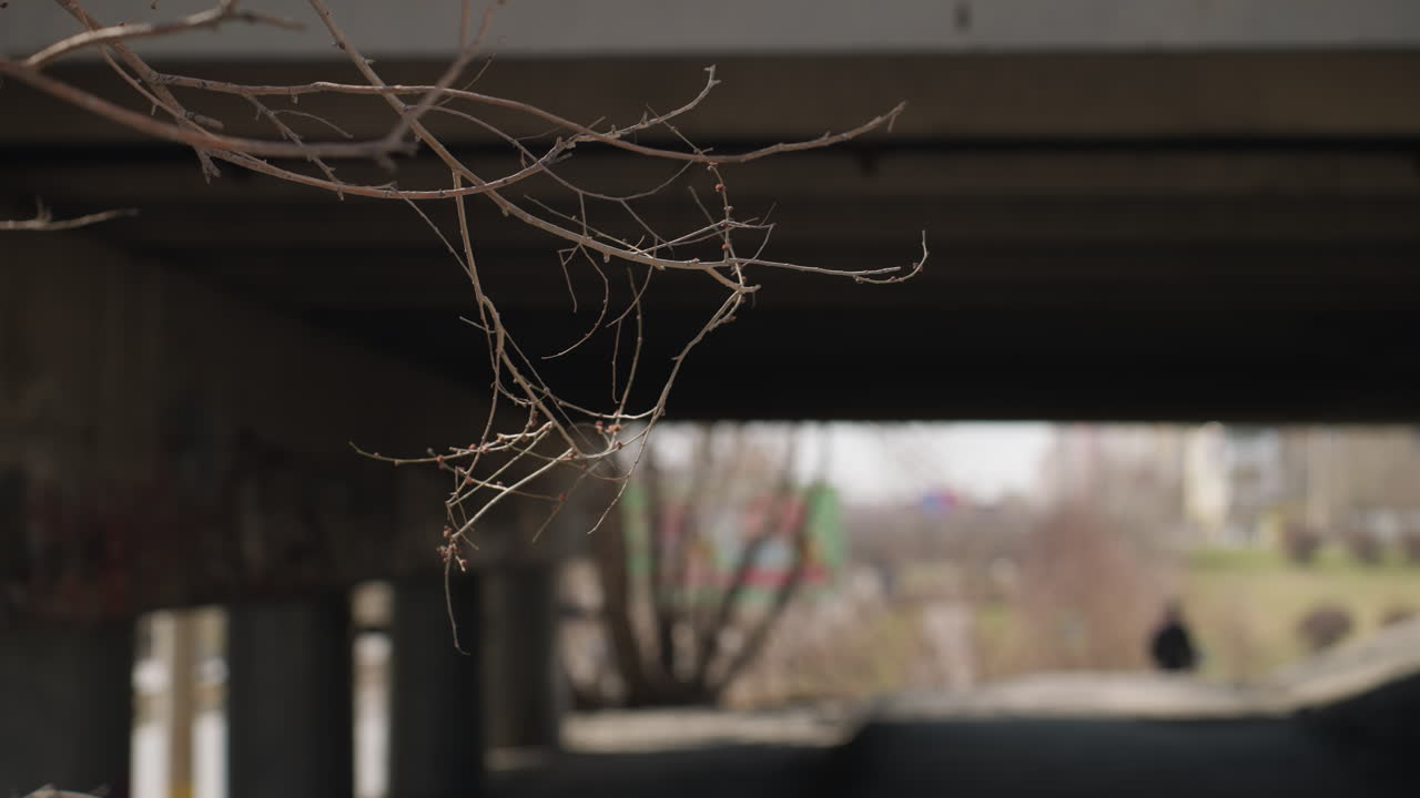 배경 에 있는 다리 아래 를 고 있는 흐릿 한 보행자 와 함께 벌거벗은 나무 가지 들 의 가까운 모습