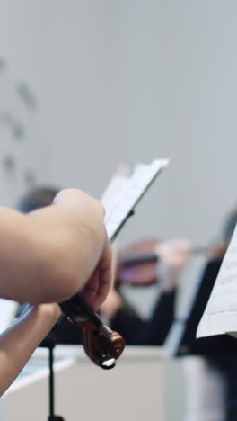 violinista actuando
