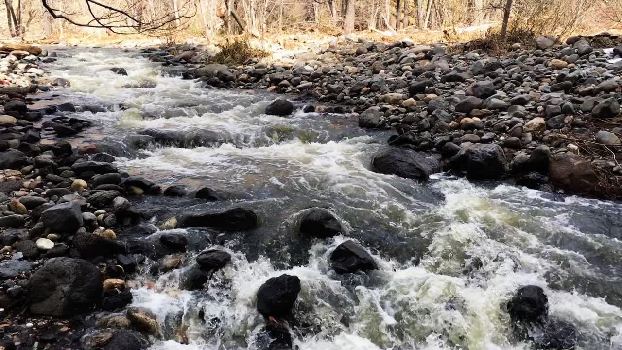 Il deflusso invernale dalle montagne dell'Arizona settentrionale scende impetuoso lungo l'Oak Creek, tra rocce e massi, dirigendosi a sud attraverso l'Oak Creek Canyon, Sedona, Arizona